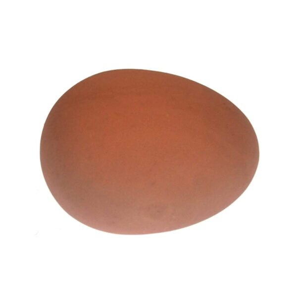 RvPaws Egg Shaped Rubber Bouncing Balls Chewing Playing Toy for Pet Puppy Dogs and Cats -Pack of 1