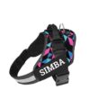 Customized Dog Vest Harness with Pet Name, Personalized Dog Belt Customized Dog Vest Harness with Pet Name, Personalized Dog Belt with Dog Name, No Pull Harness Reflective Vest Harness Belt Adjustable (Reto, Medium)