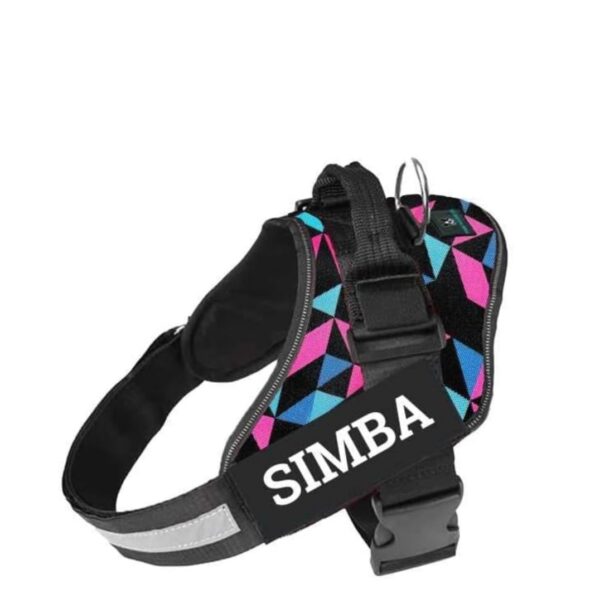 Customized Dog Vest Harness with Pet Name, Personalized Dog Belt Customized Dog Vest Harness with Pet Name, Personalized Dog Belt with Dog Name, No Pull Harness Reflective Vest Harness Belt Adjustable (Reto, Medium)