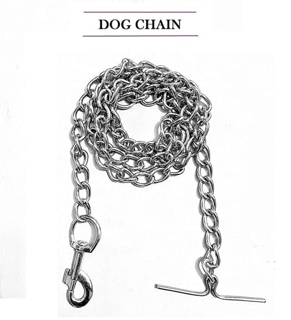 Combo: Collar, Leash, and Belt With Silver Chain for Medium Size Dogs - Width 20 MM (Large, Black)