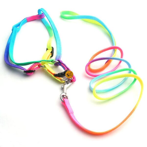 Sage Square Dog Colourfull Harness Leash Set Adjustable Heavy Duty No Pull Halter Harnesses for Small Breed Dogs Back Clip Anti-Twist Perfect for Walking (Multicoloured)