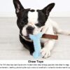 51qohJgiNML.jpg RvPaws Doggy Chewing Aggressive Pet Tooth Biting Anti-bite Molar Puppy Toothbrush, Tough Teething Toy for Small, Medium and Large Dogs