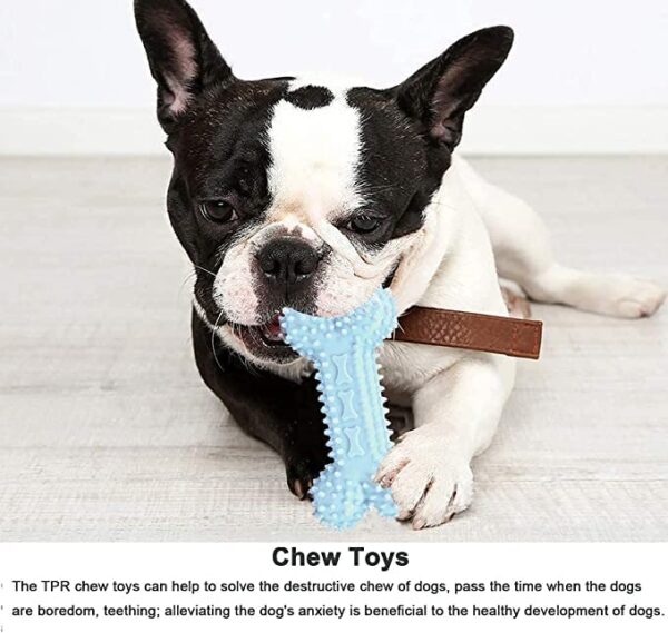 51qohJgiNML.jpg RvPaws Doggy Chewing Aggressive Pet Tooth Biting Anti-bite Molar Puppy Toothbrush, Tough Teething Toy for Small, Medium and Large Dogs