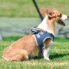 51s3m1YlVoL.jpg KUTKUT Adjustable Dog Harness, No Pull for Small Dog, Reflective, Breathable & Soft Mesh Padded Step-in Vest & Leash Set for Outdoor Walking Escape Proof (Size: XL, Pet Weight 7-10Kg, Chest: 47-53cm)