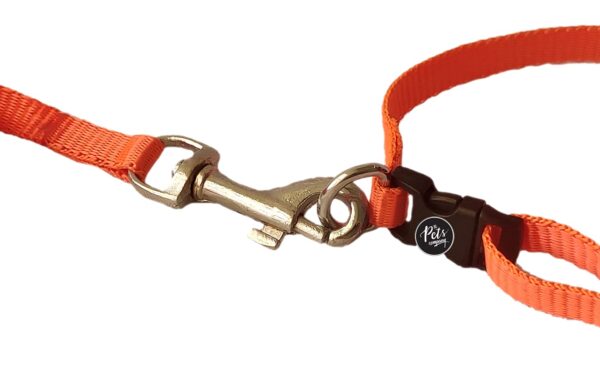 51sOK6yn9lL._SL1351_.jpg The Pets Company Leash and Collar Set Suitable for Puppies of All Dog Breeds, X-Small, Orange