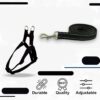 51shjQLFTL._SL1000_.jpg Dog Leash And Collar Combo Set|Highly Reflective|Dog Rope For Small, Medium & Large Dogs|(Size- Leash 4.8 Ft. + Collar (Medium, Black),146 cm