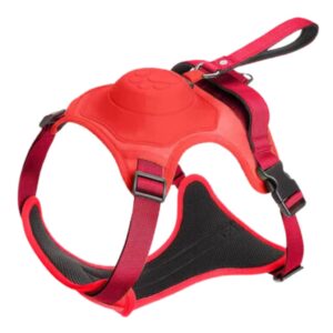 A+a Pets' 2in1 No Pull Dog Harness with in-Built Retractable A+a Pets' 2in1 No Pull Dog Harness with in-Built Retractable Leash - Automatic and Anti Burst Impact Function (M, Red)