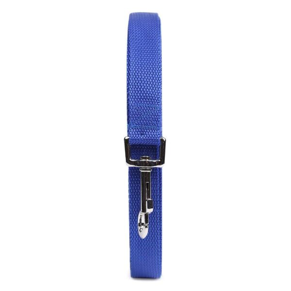 Nylon Dog Training Lead Dog Leash Long Leash15 Ft Long Leash for Dogs (1" Wide) (Blue, 15 Feet)