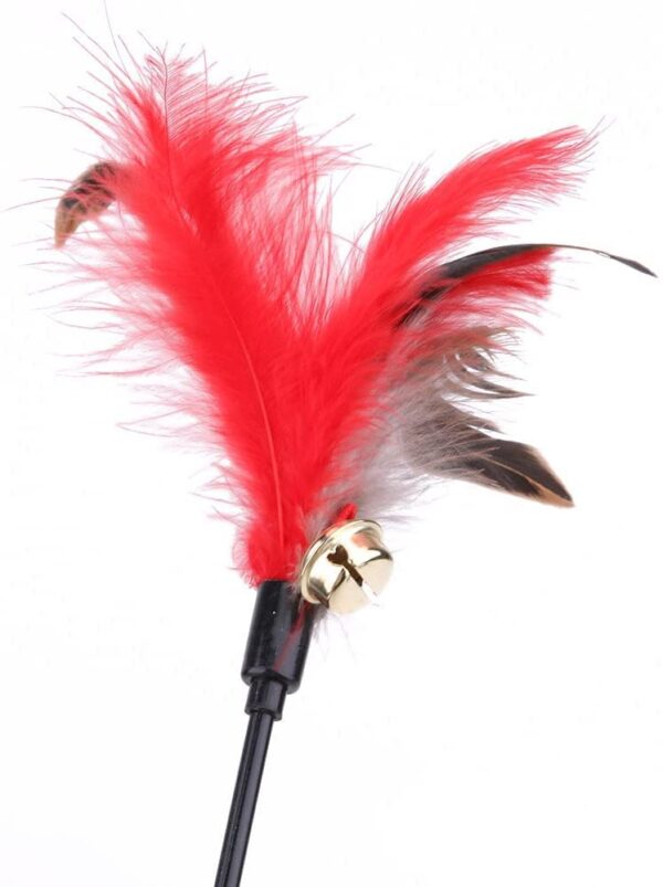 51taAJ8x2aL._SL1001_.jpg The Pets Company Cat Wand Teaser Toy | Feather + Big Fur Feather Ball | for Kittens + Older Cats | Interactive Cat Playing Toy | Set of 2