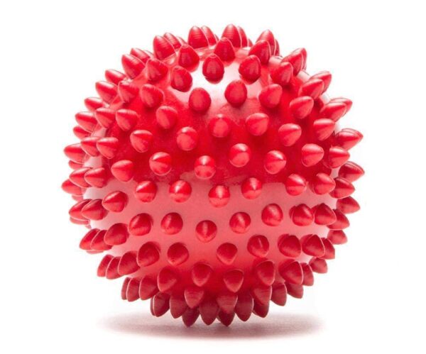 PSK PET MART Dog & Puppy Rubber Chew Toys Combo- PSK PET MART Dog & Puppy Rubber Chew Toys Combo- Ring Toy, Silicon Dumbbell, Squeaky Chicken Small (Pack of 3)