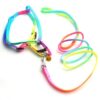 Sage Square No Pull Dog Harness and Leash Set, No Chock Puppy Step in Vest Harness Nylon Lightweight Neck&Chest Adjustable for Dogs Girls and Boy, Pet Harness for Small Medium Dogs (Rainbow Coloured)
