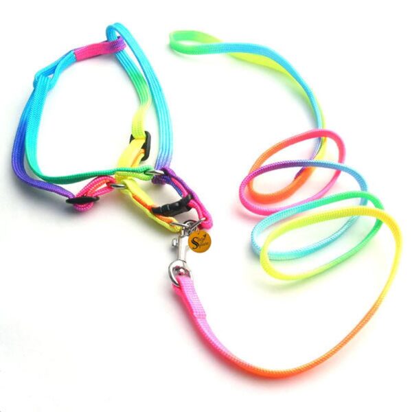 Sage Square No Pull Dog Harness and Leash Set, No Chock Puppy Step in Vest Harness Nylon Lightweight Neck&Chest Adjustable for Dogs Girls and Boy, Pet Harness for Small Medium Dogs (Rainbow Coloured)