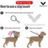 Vama Leathers I British Style Training Slip Leash I Adjustable Length I Strong & Durable Training Show Leash I Soft Nylon Rope I Leather Trims I Made in India I 5 Feet X 1 CM I Black.