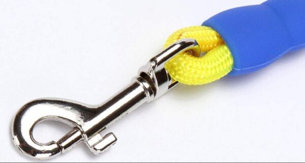 Sage Square Rainbow Colour Weave Nylon Pet Rope Dog Harness Training Walking Leash (Medium)