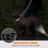 Heavy Duty Dog Leash 5ft with Padded Handle & Reflective Rope for All Dog, Durable Climbing Rope Leash with Strong Metal Clasp for Night Walking, Running, Hiking, Training (Black, 5 FT)
