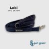 51z8JvyFIzL._SL1080_.jpg Dog Leash for Large Dogs-Loki-for Big Dogs-with Padded Handle-5 Ft Long 1 inch Wide
