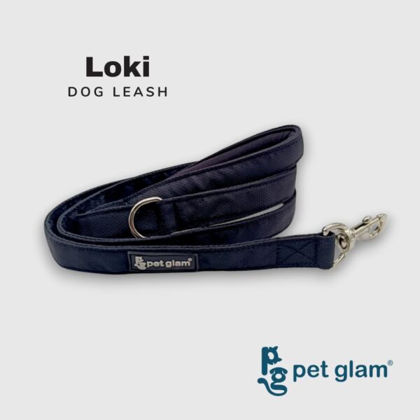 51z8JvyFIzL._SL1080_.jpg Dog Leash for Large Dogs-Loki-for Big Dogs-with Padded Handle-5 Ft Long 1 inch Wide