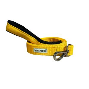 Aam Panna Premium Long Length Durable Sturdy Training Leash-with Soft Aam Panna Premium Long Length Durable Sturdy Training Leash-with Soft Padded Handle- for Dogs and Puppies | Yellow | Medium