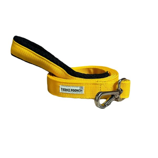 Aam Panna Premium Long Length Durable Sturdy Training Leash-with Soft Aam Panna Premium Long Length Durable Sturdy Training Leash-with Soft Padded Handle- for Dogs and Puppies | Yellow | Medium