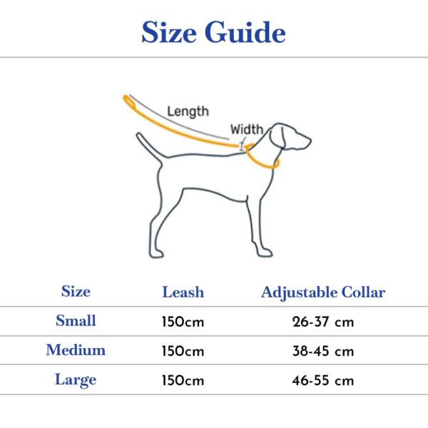 PETS EMPIRE Classic Dog Collar & Leash Set with Bow – Elegant Adjustable Collar[2.5*(46-55) cm] & Leash(2.5 * 150cm) for Large Dog Breeds (Large, Black)