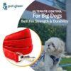 Heavy Duty Dog Leash for Large Dogs – No Pull, 5ft Nylon Leash with Padded Handle & Strong Metal Hook – Tangle-Free, Comfortable Dog Lead for Training & Walking – Bruce
