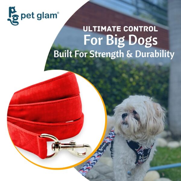 Heavy Duty Dog Leash for Large Dogs – No Pull, 5ft Nylon Leash with Padded Handle & Strong Metal Hook – Tangle-Free, Comfortable Dog Lead for Training & Walking – Bruce
