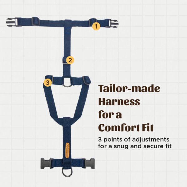 PetWale Dog H Harness | Cotton Material | Adjustable & Durable | Skin & Fur Friendly | Ultimate Comfort for Long Hours | 3 Point Adjustments | Strong Material & Secured Fit | Navy Blue - Small