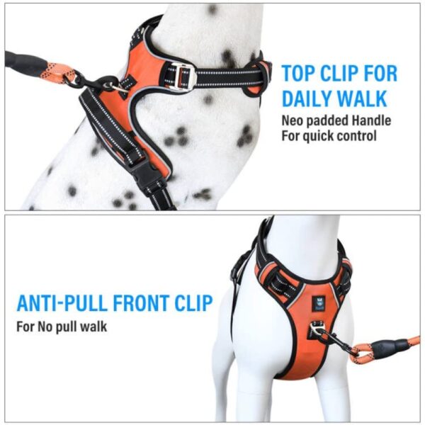 HANK Dog Harness | 3M Reflective | Strong Metal Hook | Dog Chest Belt for Large Dogs | No Pull Harness for Walking, Training (Neon Orange - L (23-35Kg)