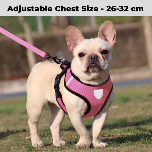 61HtxTc93L._SL1080_.jpg Heart Home Reflective Dog Harness With Adjustable Leash|Breathable Polyester Mesh Fabric With Top carry Handle|Small Size|HAT-818|Comfortable No-Pull Grip|Quick Release Buckles|Stylish Design|Pink