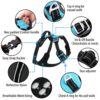 61Z5974EpL._SL1000_.jpg HANK Dog Harness Leash Set - Soft Comfortable Handle - Dog Vest for Small Breed - No Pull Harness - Dog Vest for Training - Walking (Cyan Blue - S (Harness + Leash)