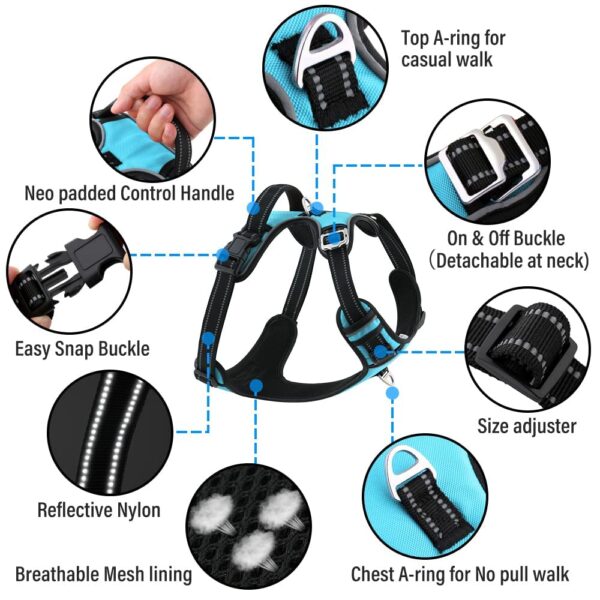 HANK Dog Harness Leash Set - Soft Comfortable Handle - Dog Vest for Small Breed - No Pull Harness - Dog Vest for Training - Walking (Cyan Blue - S (Harness + Leash)