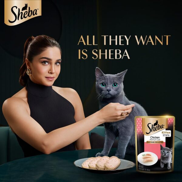 61vd-uNDmL._SL1000_.jpg Sheba Fine Premium Kitten (2-12 Months) Wet Cat Food, Chicken Premium Loaf, 70 g Pouch (Pack of 14), High-Moisture Gravy Kitten cat Food for Healthy Hydration