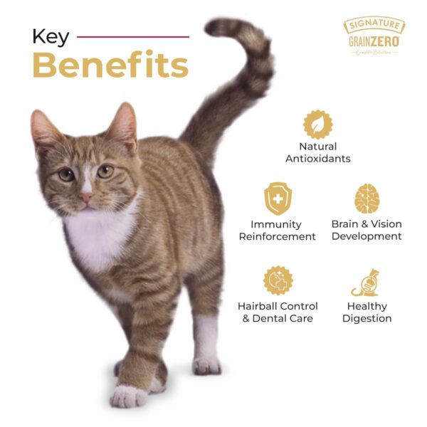 61zdn15yCL._SL1200_.jpg Grain Zero Adult Dry Cat Food 1.2kg | Ocean Fish, Sardine & Mackerel | 48% Fresh Fish Inclusion, No Grain Formula, Gluten-Free | Promotes Healthy Skin & Coat | All Breeds