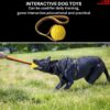 61-vXdfL._SL1080_.jpg Rope Ball Dog Toy Interactive Pet Training Toy Ball for Tug, Chew, Fetch & Play Perfect for Powerful Chewers Play Ball Dental Clean (Rope Ball) Yellow