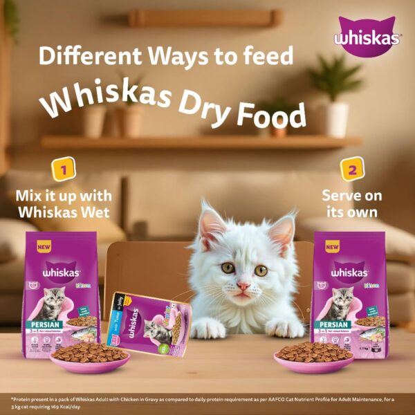 61-AmWvn8FL._SL1001_.jpg Whiskas Persian Kitten (2-12 Months) Dry Cat Food, 1.1kg, 100% Complete & Balanced Tailor Made Nutrition, Reduces Hairfall, for Healthy Coat & Skin