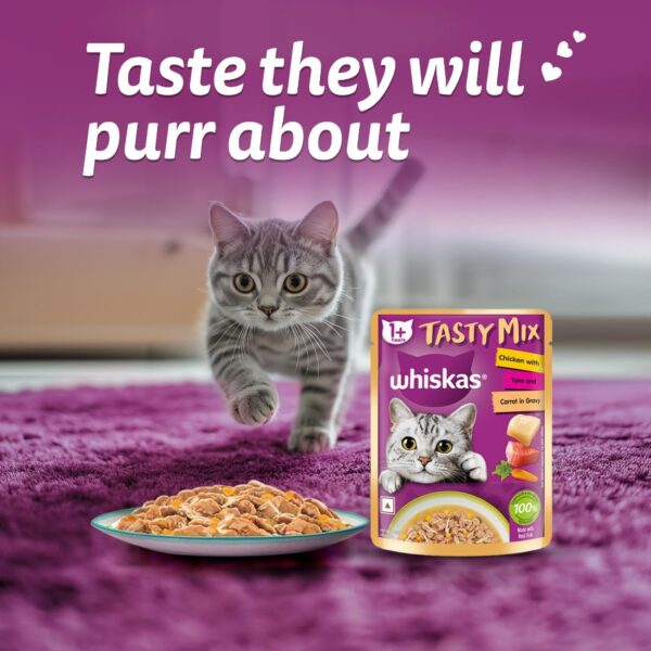 61-Fv3PZzRL._SL1100_.jpg Whiskas Tasty Mix Adult (1+ Year) Wet Cat Food, Chicken with Tuna & Carrot in Gravy, 70 g, Pack of 28| Made with Real Fish| Complete & Balanced Nutrition for Adult Cat