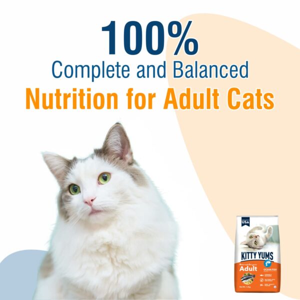 61-PVZKtLmL._SL1500_.jpg Kitty Yums Adult (+1 Year) Dry Cat Food, Ocean Fish, 7kg