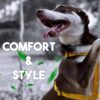 61-UkSYBsiL._SL1080_.jpg Avocado dip Premium Adjustable Washable Training Freedom H-Harness for Dogs and Puppies-Bold Range | Dark Green | Small