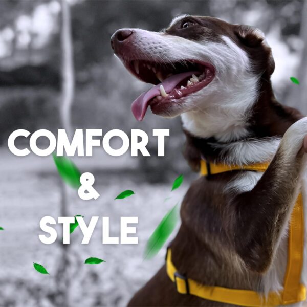 61-UkSYBsiL._SL1080_.jpg Avocado dip Premium Adjustable Washable Training Freedom H-Harness for Dogs and Puppies-Bold Range | Dark Green | Small