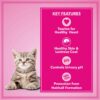 61-cjX040CL._SL1500_.jpg Let's Bite Active Kitten Dry Cat Food, 400 gm (Buy 1 Get 1 Free), Total 800 g Pack