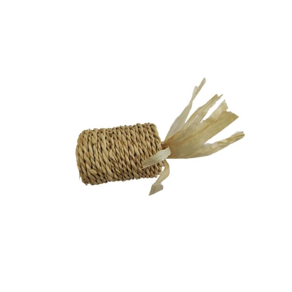 The Pets Company Cat Scratching Sisal Carrot Teaser Toy