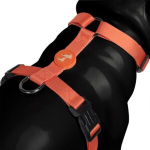 Heads Up For Tails Classic Nylon Dog H Harness - Heads Up For Tails Classic Nylon Dog H Harness - Orange - L