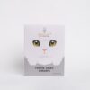 Dry Cat Food - 40 GMS (Freeze Dried Shrimps) Dry Cat Food - 40 GMS (Freeze Dried Shrimps)