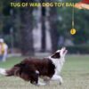 610EnJCAZeL._SL1080_.jpg Rope Ball Dog Toy Interactive Pet Training Toy Ball for Tug, Chew, Fetch & Play Perfect for Powerful Chewers Play Ball Dental Clean (Rope Ball) Yellow
