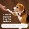 PetWale Reflective Orange Dog Martingale Collar | Comfortable & Secure Fit | No Neck Strains | Durable | Recommended by Trainers | Suited for Small Breeds Like Lahsa, Terrier & More | Size S