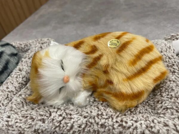 Toyzeeland Cute Sleeping Cat Plush Toy with Meow Sound, Gift for Kids | Car Dashboard Accessories - Random Color