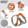 Front Range No-Pull Dog Harness – Adjustable Reflective Pet Vest with Easy Control Handle for Outdoor Adventures Orange