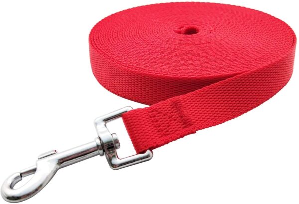 Nylon Dog Training Lead Dog Leash 10 Ft Long Leash (1 Inch Wide) (Red)