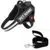 Berlin's PET ACCESSORIES Personalized Dog Harness with Pet Name & Phone Number, No Pull Dog Vest,Escape Proof Reflective Dog Harness, Custom Patches with Hook Backing (Black, Large (21-35KGS))