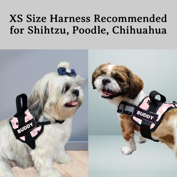 611lWKTnc7L._SL1280_.jpg Dog Vest Harness Body Belt, Choke-Free, Adjustable Size, Reflective Strap | for 02-04 Kilograms Dogs (XS, Pink-PAW)